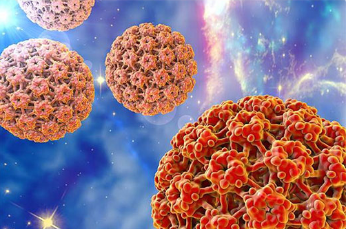 HPV