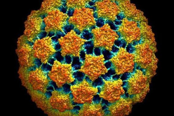 Metode de diagnosticare a virusului papilomului uman